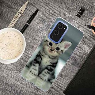 For OnePlus 9 Shockproof Painted Transparent TPU Protective Case(Sitting Cat)