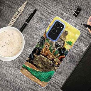 For OnePlus 9 Shockproof Painted Transparent TPU Protective Case(Zoo)