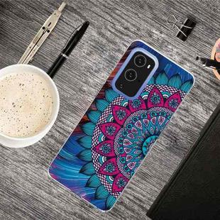For OnePlus 9 Shockproof Painted Transparent TPU Protective Case(Rape Blossoms)