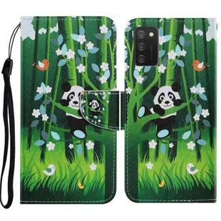 For Samsung Galaxy A02s Coloured Drawing Pattern Horizontal Flip PU Leather Case with Holder & Card Slots & Wallet & Lanyard(Panda)