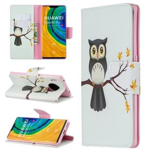 For Huawei Mate 30 Pro Colored Drawing Horizontal Flip Leather Case with Holder & Card Slots & Wallet(Eagle Tree)