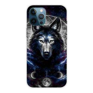 For iPhone 12 Pro Max Shockproof Painted Transparent TPU Protective Case(Magic Wolf)