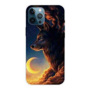 For iPhone 12 Pro Max Shockproof Painted Transparent TPU Protective Case(Sky Wolf)