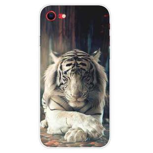 For iPhone SE 2022 / SE 2020 Shockproof Painted Transparent TPU Protective Case(White Tiger)