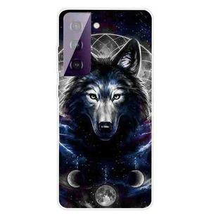 For Samsung Galaxy S21 5G Shockproof Painted Transparent TPU Protective Case(Magic Wolf)