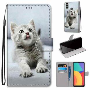 For Alcatel 1L (2021) Coloured Drawing Cross Texture Horizontal Flip PU Leather Case with Holder & Card Slots & Wallet & Lanyard(Small Gray Cat)