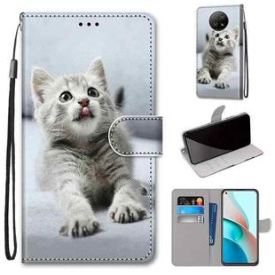 For Xiaomi Redmi Note 9T / Note 9 5G Coloured Drawing Cross Texture Horizontal Flip PU Leather Case with Holder & Card Slots & Wallet & Lanyard(Small Gray Cat)