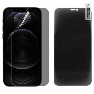 For iPhone 12 Pro 0.1mm 2.5D Full Cover Anti-spy Screen Protector Explosion-proof Hydrogel Film