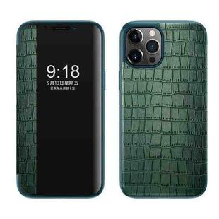 For iPhone 12 Pro Max Crocodile Texture Display Window Horizontal Flip Leather Case(Green)