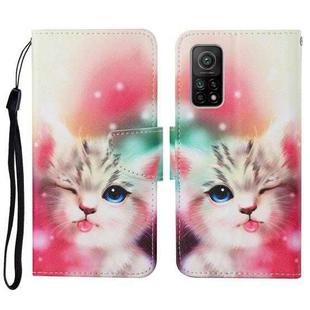 For Xiaomi Mi 10T Colored Drawing Pattern Horizontal Flip Leather Case with Holder & Card Slots & Wallet & Lanyard(Squint Cat)