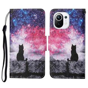 For Xiaomi Mi 11 Colored Drawing Pattern Horizontal Flip Leather Case with Holder & Card Slots & Wallet & Lanyard(Starry Cat)