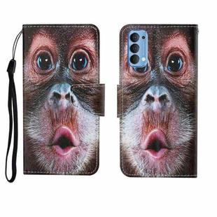 For OPPO Reno4 Painted Pattern Horizontal Flip Leathe Case(Orangutan)