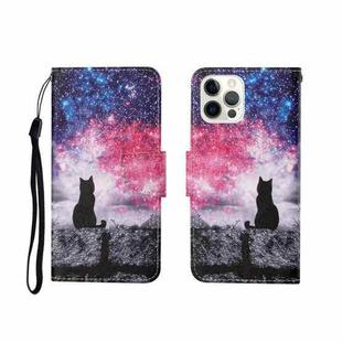 For iPhone 12/12 Pro Painted Pattern Horizontal Flip Leathe Case(Starry Cat)