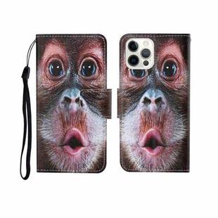 For iPhone 12/12 Pro Painted Pattern Horizontal Flip Leathe Case(Orangutan)