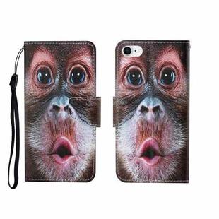 For iPhone SE (2020)/ 7 /8 Painted Pattern Horizontal Flip Leathe Case(Orangutan)