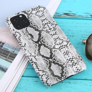 For iPhone 11 Pro Snakeskin Pattern Paste Skin Protective Case(White)