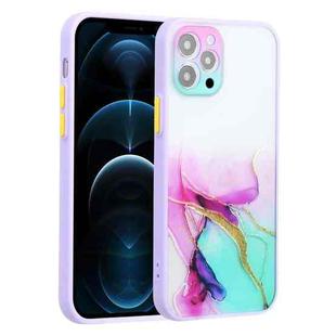 For iPhone 12 Pro Ink Painting Style TPU Protective Case(Ink Colorful)