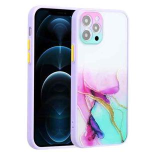 For iPhone 12 Pro Max Ink Painting Style TPU Protective Case(Ink Colorful)