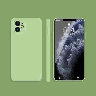 For iPhone 11 Solid Color Imitation Liquid Silicone Straight Edge Dropproof Full Coverage Protective Case (Matcha Green)