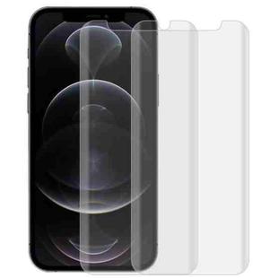For iPhone 12 / 12 Pro 2pcs 3D Curved Silk-screen PET Full Coverage Protective Film(Transparent)