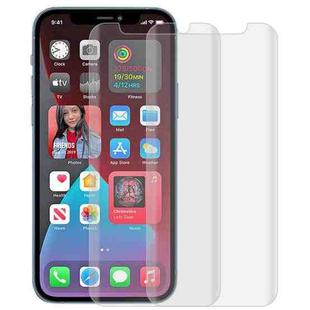 For iPhone 12 Pro Max 2pcs 3D Curved Silk-screen PET Full Coverage Protective Film(Transparent)