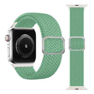 Buckle Braided Elastic Strap Watch Band For Apple Watch Series 8&7 41mm / SE 2&6&SE&5&4 40mm / 3&2&1 38mm(Pistachio)