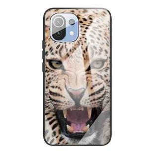 For Xiaomi Mi 11 Colorful Painted Glass Shockproof Protective Case(Leopard)