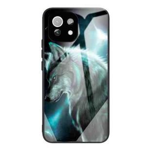 For Xiaomi Mi 11 Pro Colorful Painted Glass Shockproof Protective Case(Wolf)