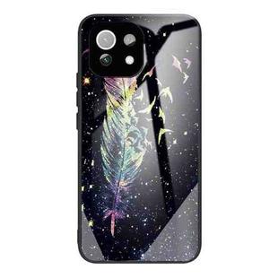 For Xiaomi Mi 11 Pro Colorful Painted Glass Shockproof Protective Case(Feather)