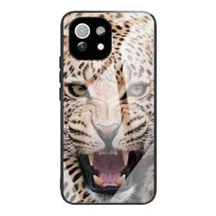 For Xiaomi Mi 11 Pro Colorful Painted Glass Shockproof Protective Case(Leopard)