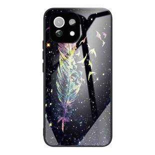 For Xiaomi Mi 11 Lite Colorful Painted Glass Shockproof Protective Case(Feather)