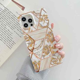 Plating Splicing Pattern Soft TPU Straight-Edge Protective Case For iPhone 12 / 12 Pro(Gold Flowers)