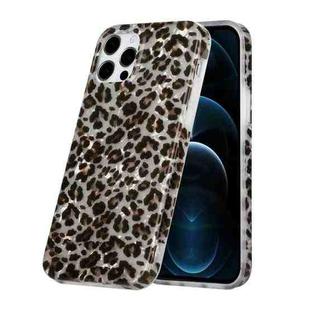 For iPhone 12 / 12 Pro Shell Texture Pattern Full-coverage TPU Shockproof Protective Case(Little Leopard)