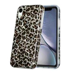 For iPhone XR Shell Texture Pattern Full-coverage TPU Shockproof Protective Case(Little Leopard)