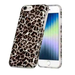 For iPhone SE 2022 / SE 2020 / 8 / 7 Shell Texture Pattern Full-coverage TPU Shockproof Protective Case(Little Leopard)