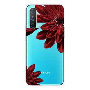 For OnePlus Nord CE 5G Colored Drawing Pattern High Transparent TPU Protective Case(Safflower)