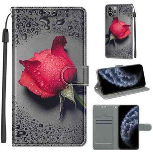 For iPhone 11 Pro Voltage Colored Drawing Magnetic Clasp Horizontal Flip PU Leather Case with Holder & Card Slots (C14 Black Water Drop Rose)