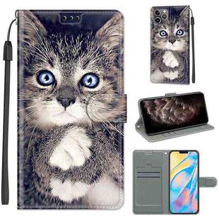 For iPhone 11 Pro Max Voltage Colored Drawing Magnetic Clasp Horizontal Flip PU Leather Case with Holder & Card Slots (C02 Fork Hand White Claw Cat)