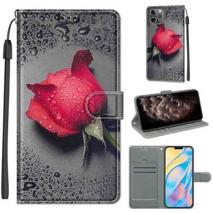 For iPhone 11 Pro Max Voltage Colored Drawing Magnetic Clasp Horizontal Flip PU Leather Case with Holder & Card Slots (C14 Black Water Drop Rose)