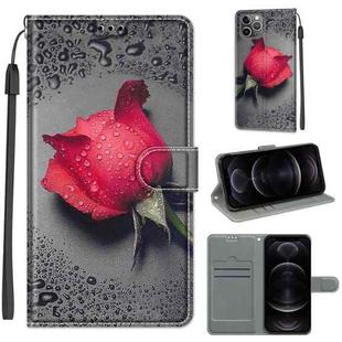 For iPhone 12 / 12 Pro Voltage Colored Drawing Magnetic Clasp Horizontal Flip PU Leather Case with Holder & Card Slots(C14 Black Water Drop Rose)
