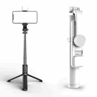 Q02S Fill Light Bluetooth Selfie Stick Tripod Mobile Phone Holder(White)