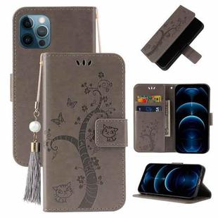 For iPhone 12 Pro Max Embossed Lucky Tree Horizontal Flip Leather Case with Holder & Card Slot & Wallet & Lanyard(Grey)
