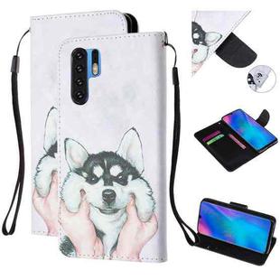 For Huawei P30 Pro Colored Drawing Pattern Cross Texture Horizontal Flip PU Leather Case with Holder & Card Slots & Wallet(Husky)