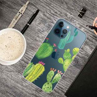 For iPhone 13 Pro Painted Pattern High Transparent TPU Protective Case (Cactus)