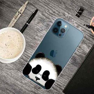 For iPhone 13 Pro Painted Pattern High Transparent TPU Protective Case (Hug Face Panda)