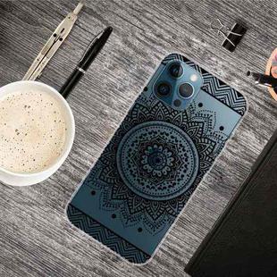 For iPhone 13 Pro Painted Pattern High Transparent TPU Protective Case (Mandala)
