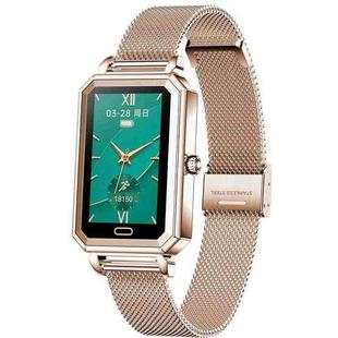 HT2 1.08 inch IPS Touch Screen IP68 Waterproof Smart Watch, Support Sleep Monitoring / Heart Rate Monitoring / Medication Reminder / Multi-exercise Mode, Style:Steel Strap