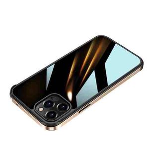 For iPhone 12 SULADA Shockproof Aviation Aluminum Metal Frame + Nano Glass + TPU Protective Case(Gold)