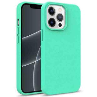 For iPhone 13 Pro Starry Series Shockproof Straw Material + TPU Protective Case (Green)