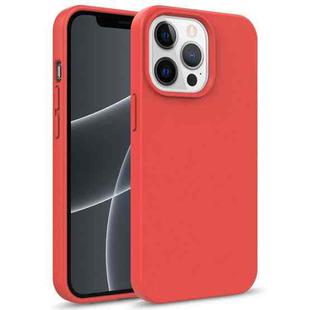 For iPhone 13 Pro Max Starry Series Shockproof Straw Material + TPU Protective Case (Red)